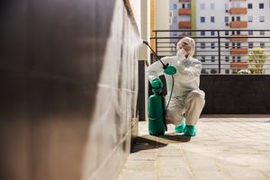 Comprehensive Guide to Pest Control Services: Importance, Trends & Tools