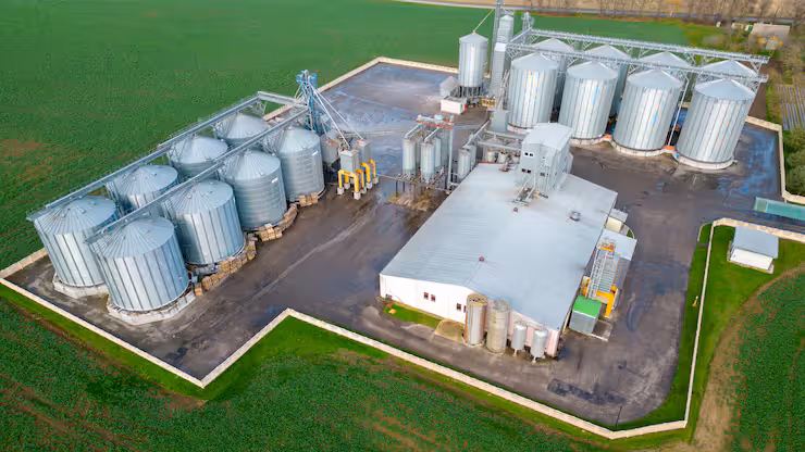 Biofuel Processing Units Comparison Guide: Insights, Basics, Tips, and Practical Knowledge