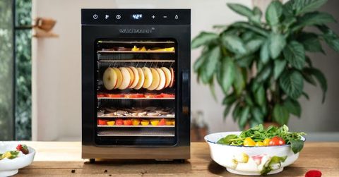 Everything You Need to Know About Food Dehydrators